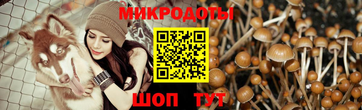 Галлюциногенные грибы мицелий Сыктывкар